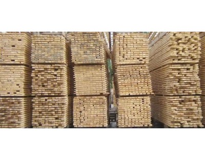 Birch sawn timber